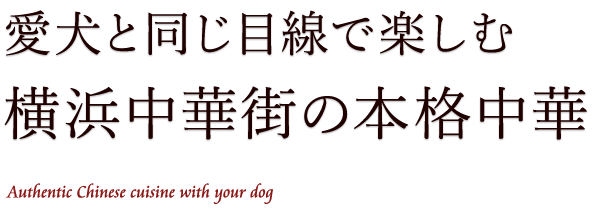 愛犬と同じ目線で楽しむ横浜中華街の本格中華 Authentic Chinese cuisine with your dog